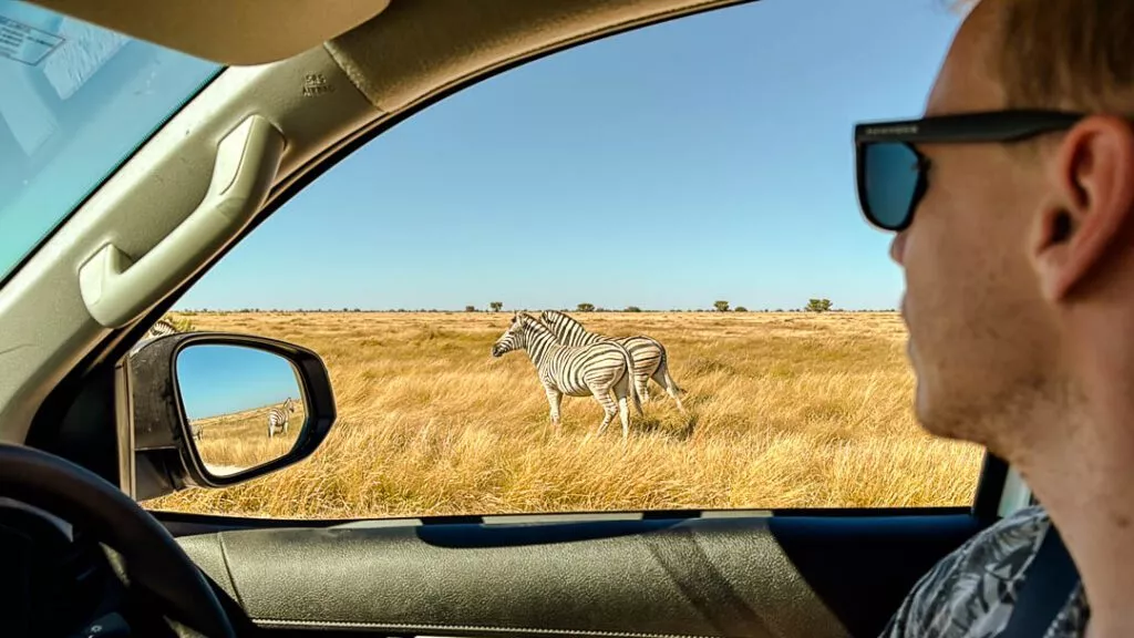 safari als selbstfahrer im etosha nationalpark