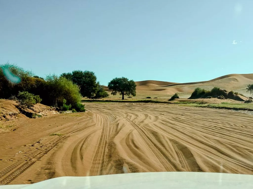 sandstrasse zum deadvlei