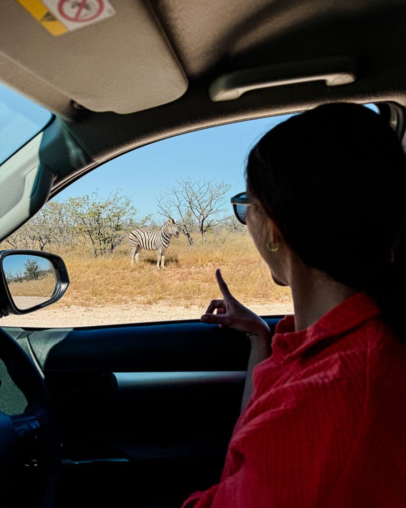 Selbstfahrer Safari im Etosha Nationalpark, Namibia