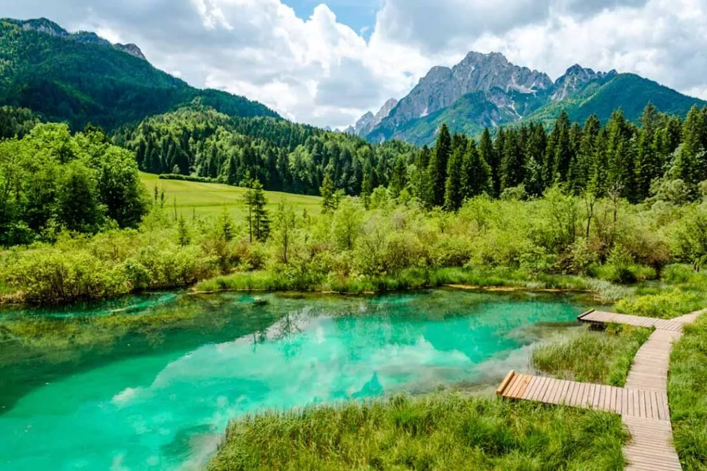 slowenien kranjska gora naturreservat zelenci Slowenien Kranjska Gora Naturreservat Zelenci