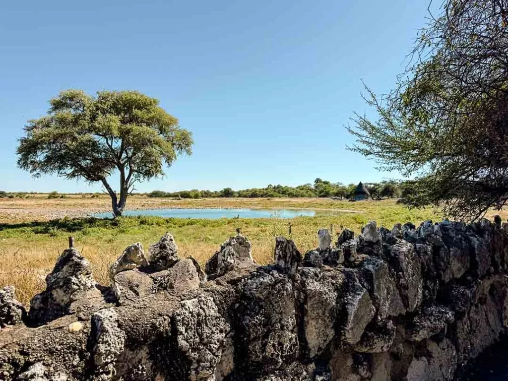 wasserloch beim halali camp im etosha nationalpark