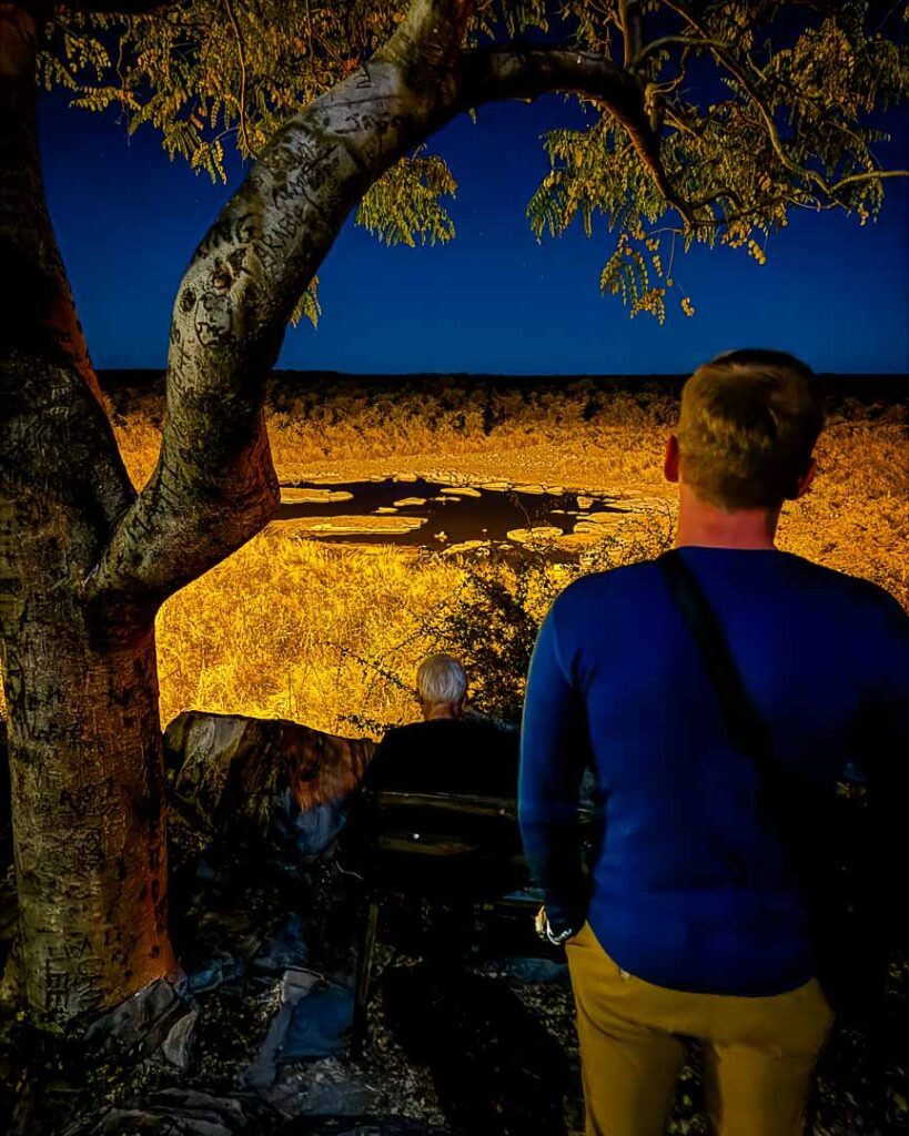 Wasserloch Im Halali Camp Bei Nacht