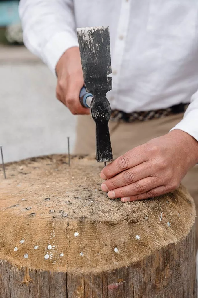 berghochzeit 71 von 226