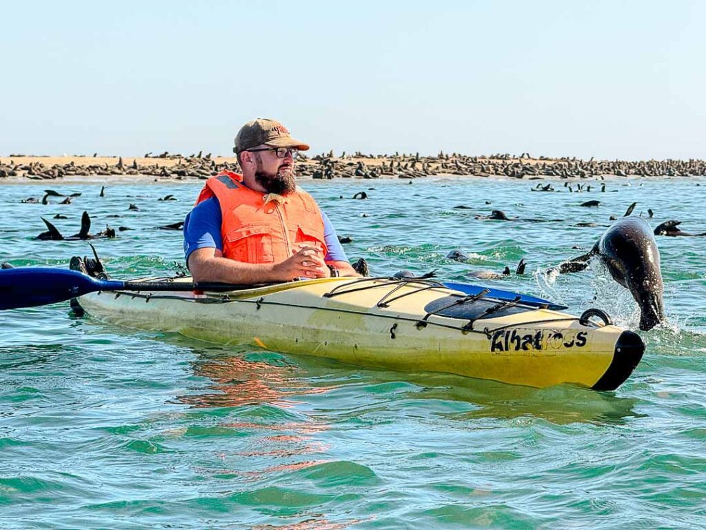 guide mitten in der robbenkolonie kajaktour in walvis bay