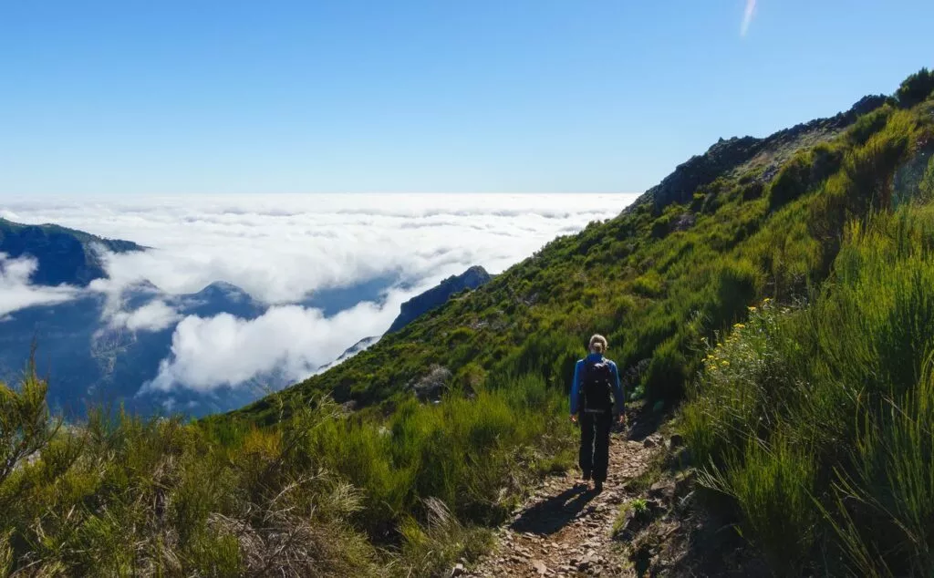 madeira bestes wetter im dezember