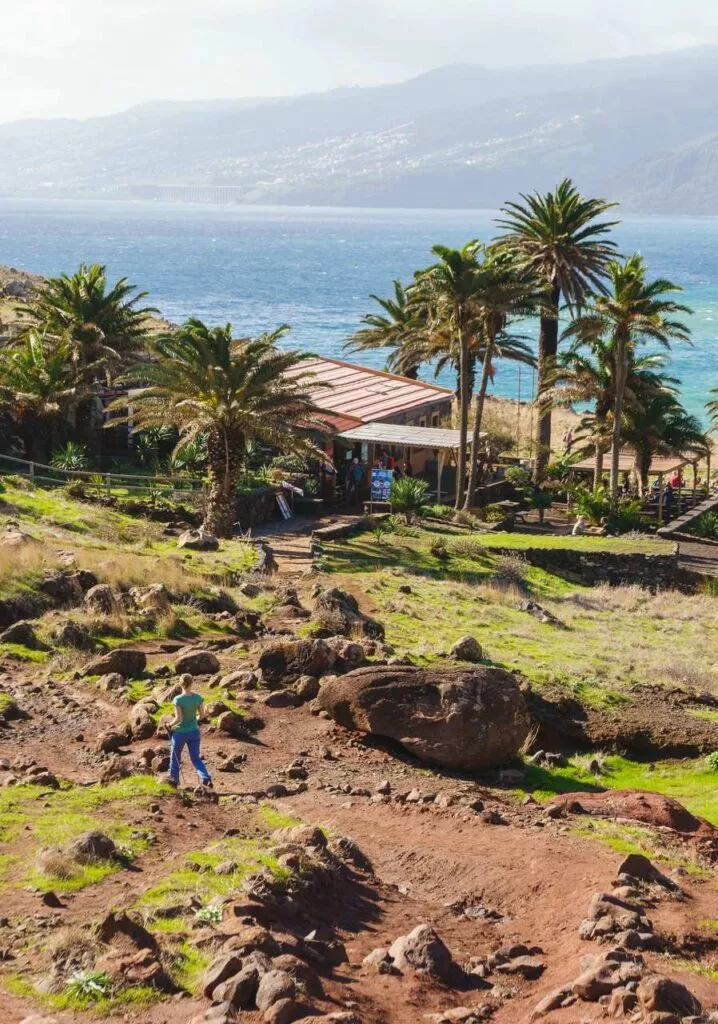 madeira cafe casa do sardinha