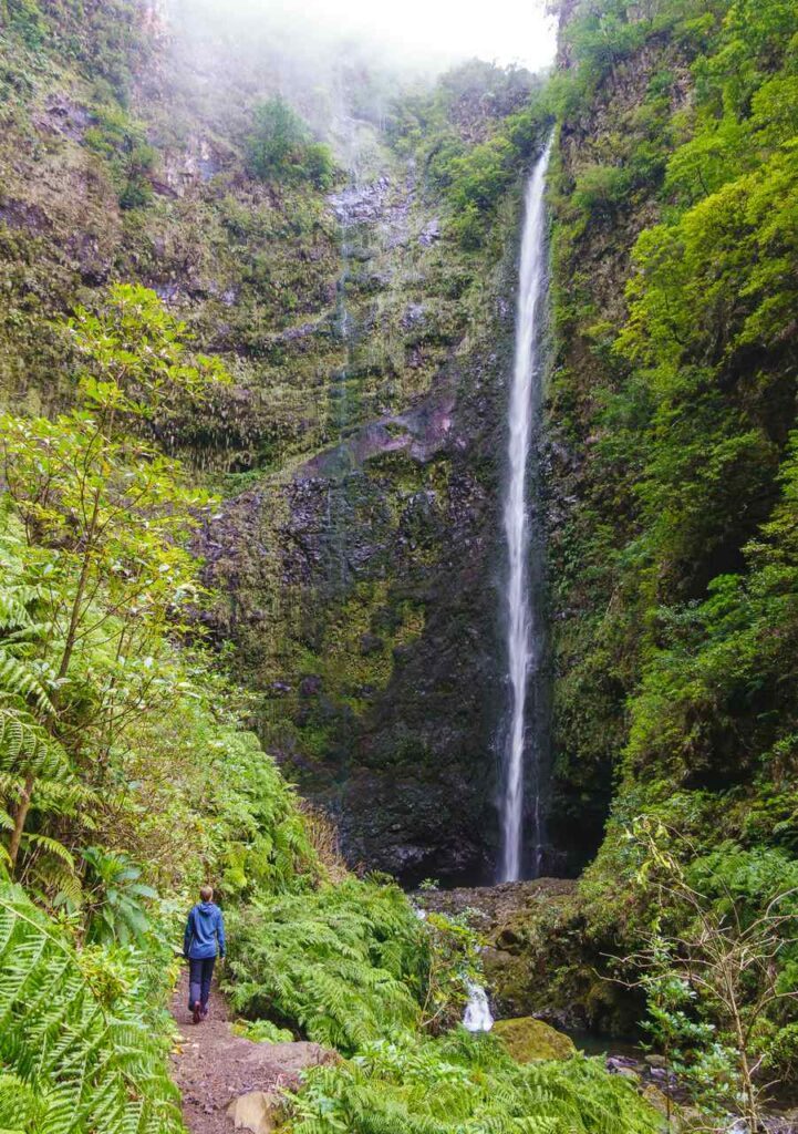 madeira caldeirao verde