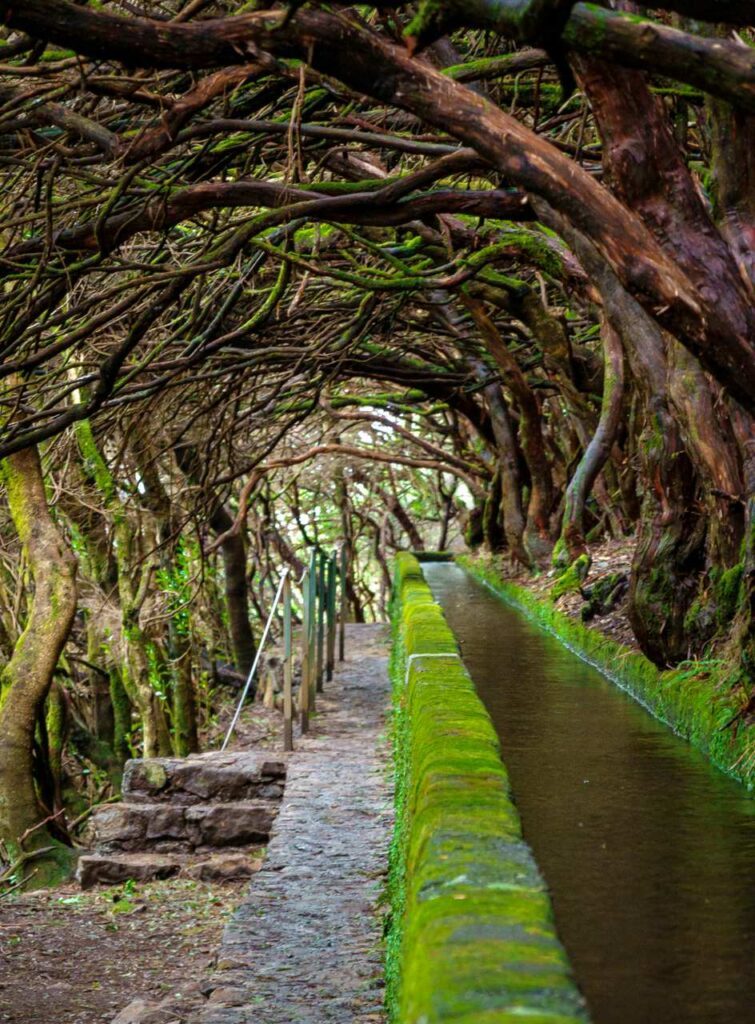 madeira levada