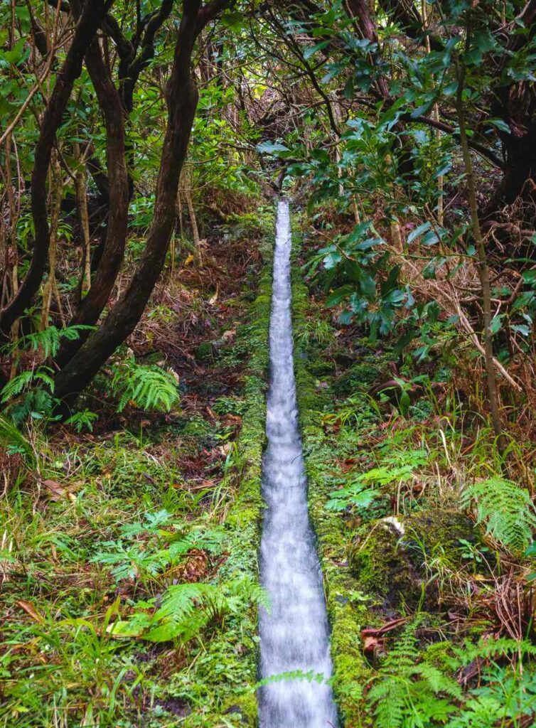 madeira levada kanal