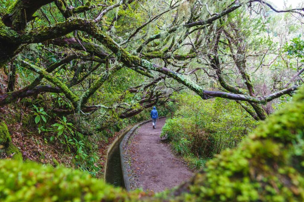 madeira wanderung levada 25 fontes