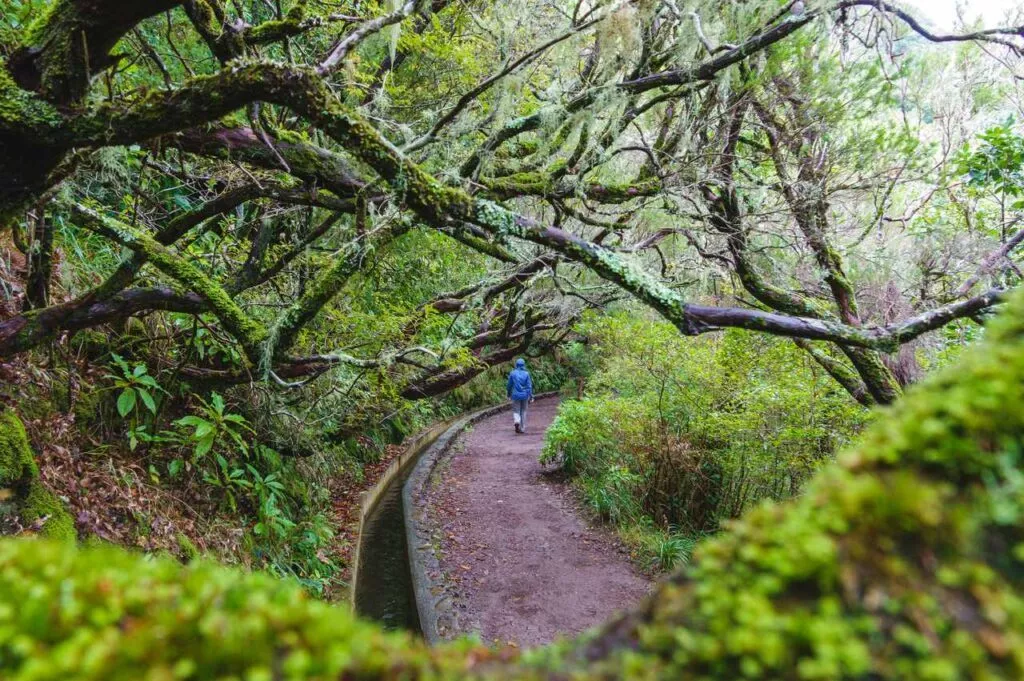 madeira wanderung levada 25 fontes
