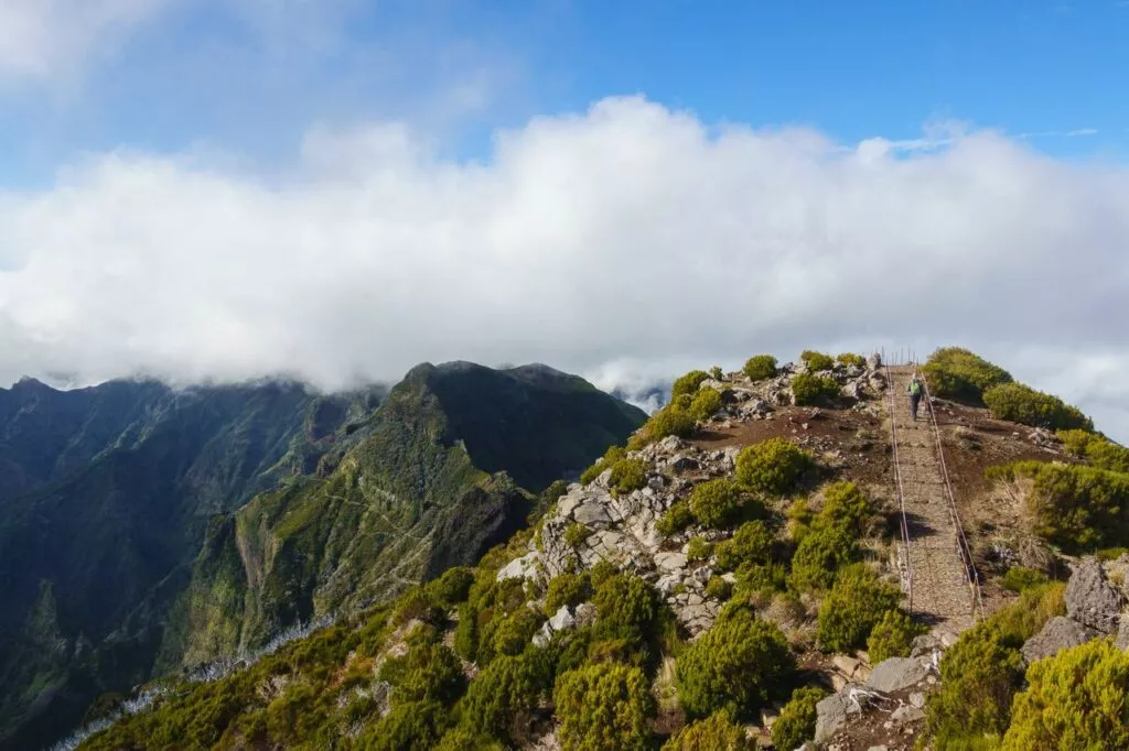madeira wanderweg zum ruivo Madeira Wanderweg Zum Ruivo