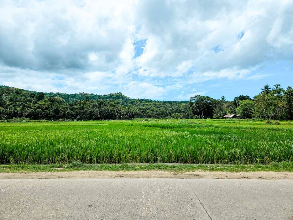 Philippinen Bohol Landschaft