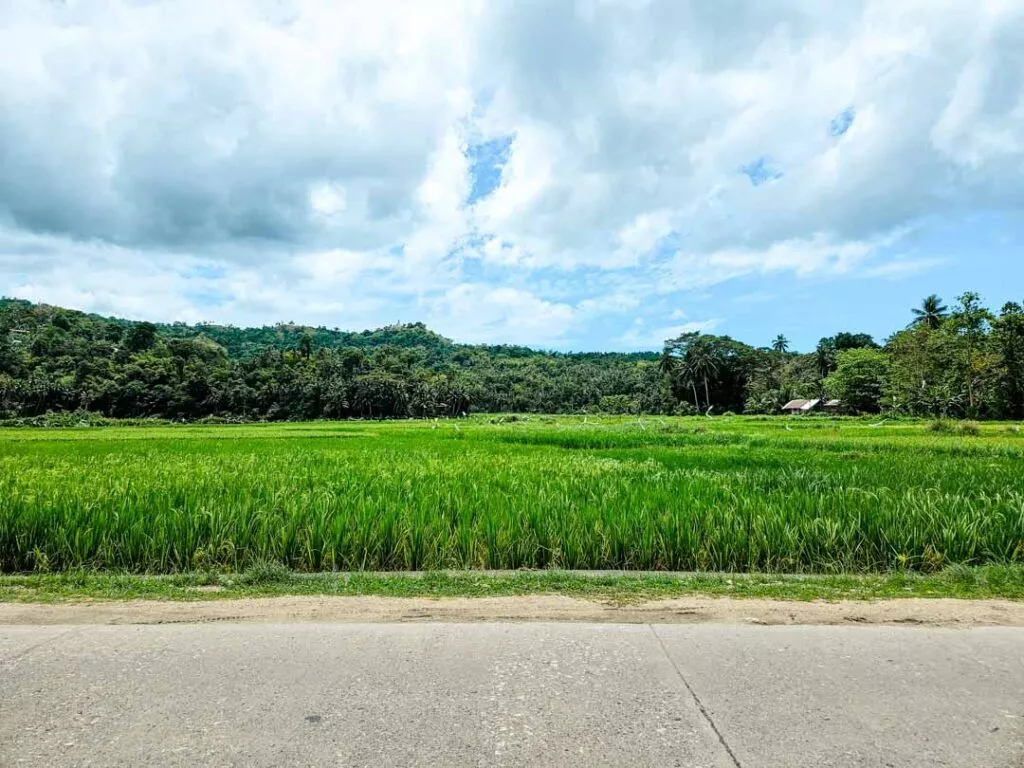 philippinen bohol landschaft