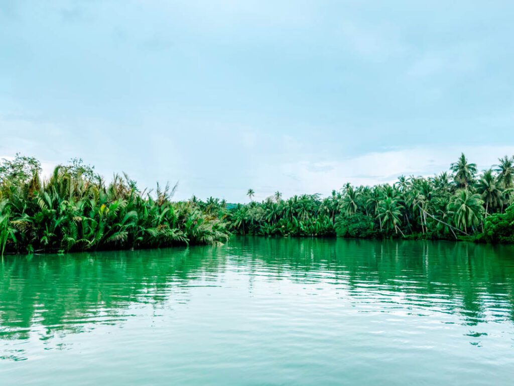 Philippinen Bohol Loboc River Cruise 2