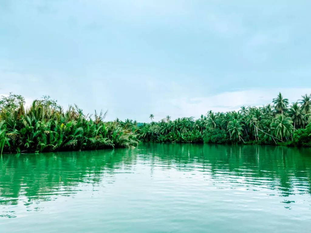 philippinen bohol loboc river cruise 2