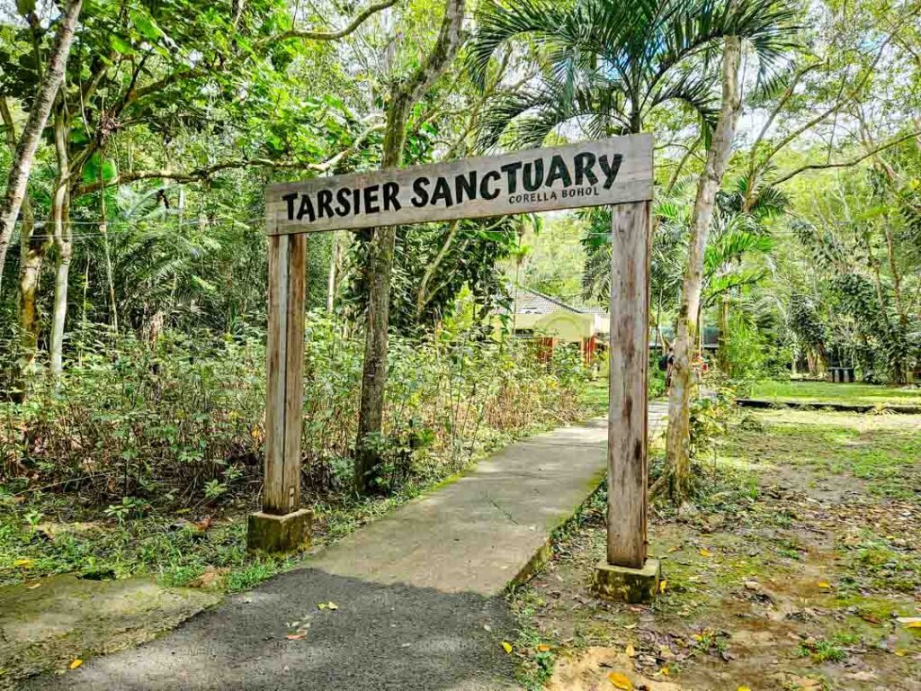 Philippinen Bohol Tasier Sanctuary