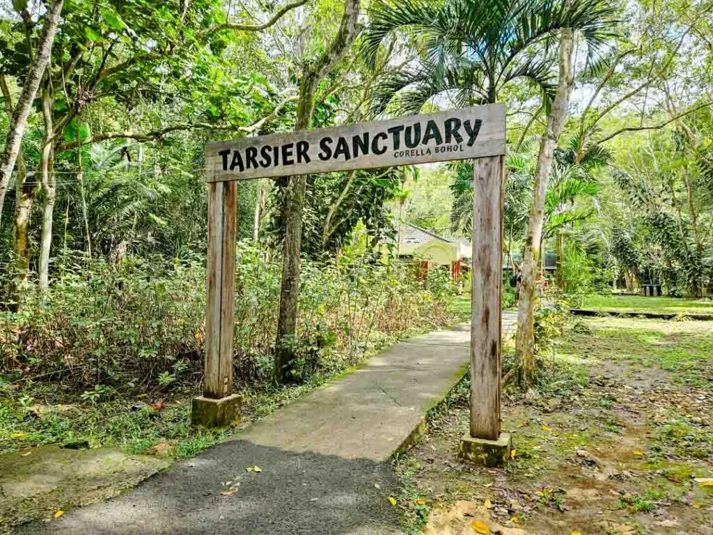philippinen bohol tasier sanctuary