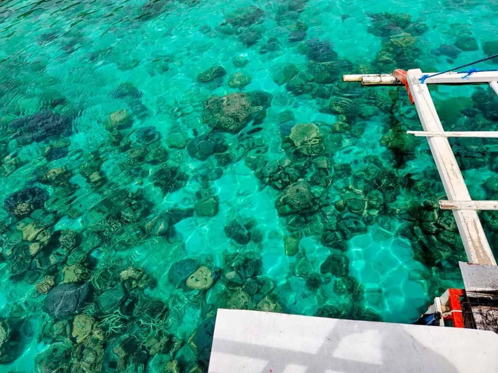 philippinen el nido coron tour unglaublich klares wasser