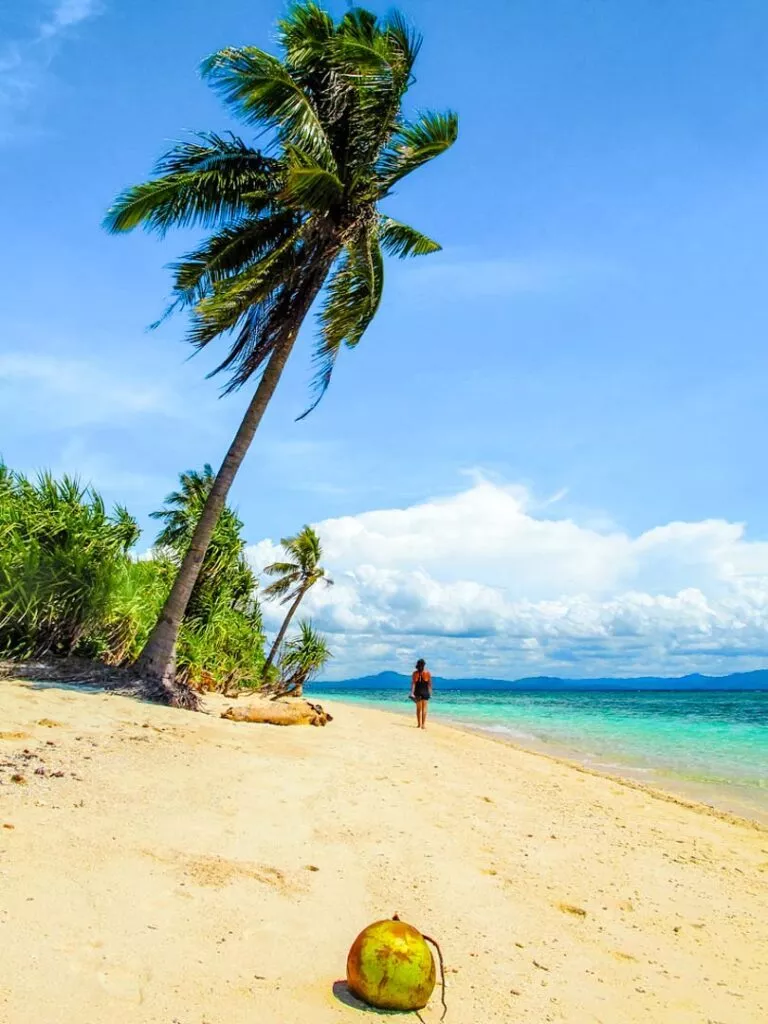 philippinen panglao pamilacan island