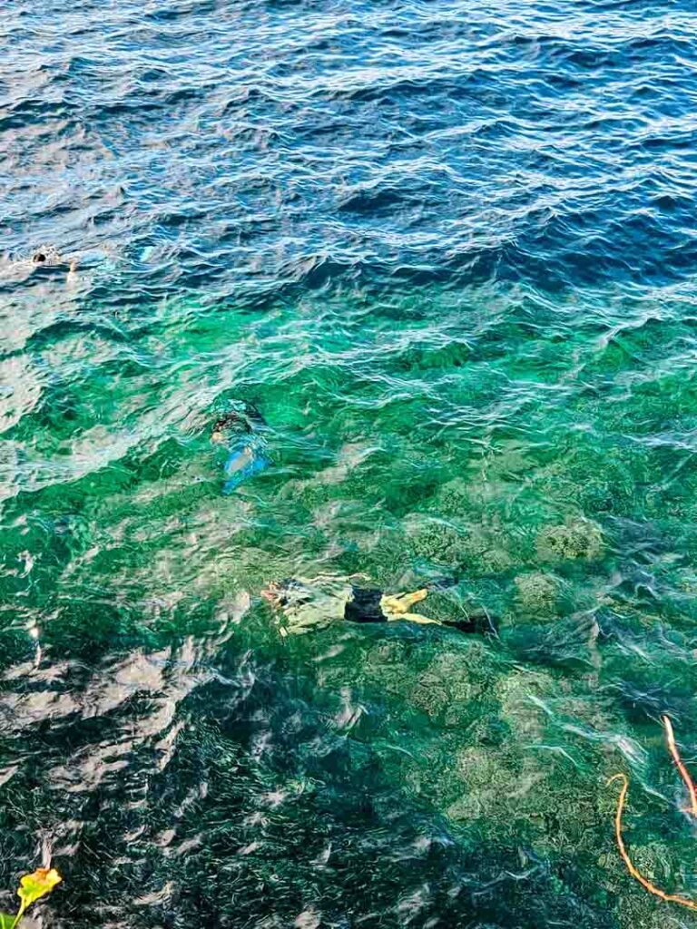 Philippinen Panglao Taucher Am Napaling Riff