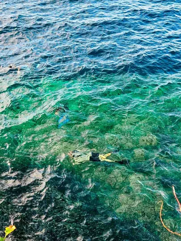 philippinen panglao taucher am napaling riff