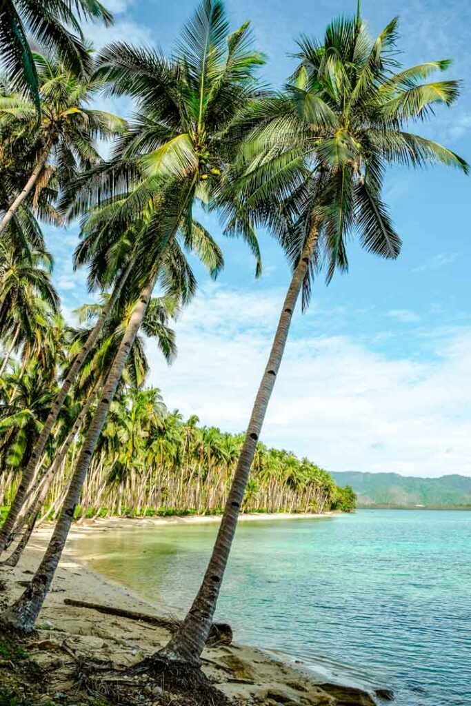 Philippinen Port Barton Coconut Beach