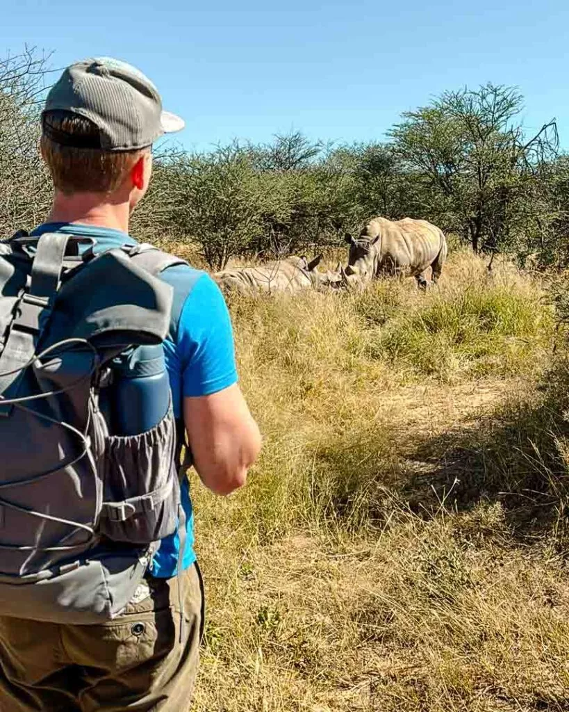 rhino tracking waterberg wilderness namibia