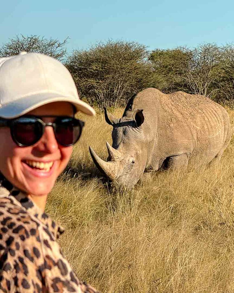 rhinos im waterberg wilderness