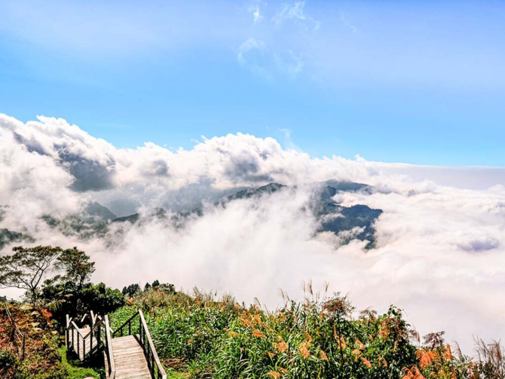 Taiwan Alishan Eryanping Trail