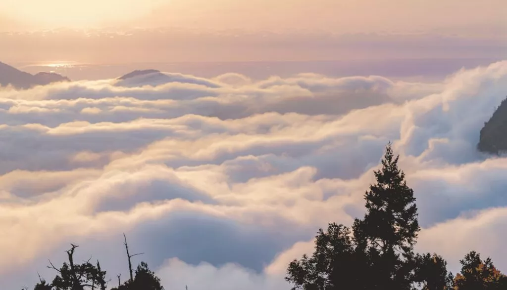 taiwan alishan sea of clouds taiwan alishan sea of clouds