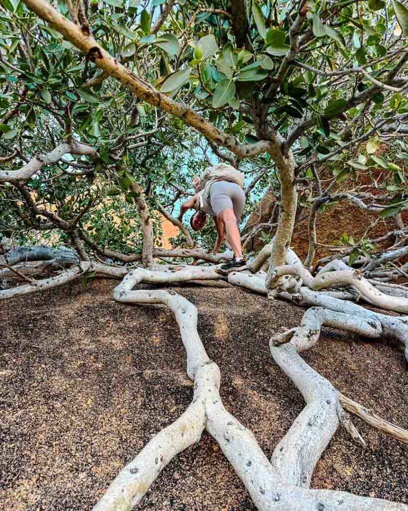 anspruchsvolle kraxlei bei spitzkoppe wanderung namibia