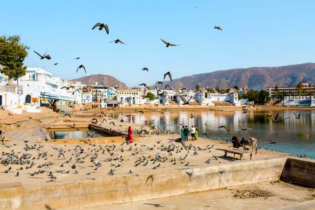indien pushkar see