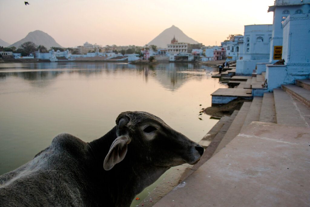 Indien Pushkar Sonnenuntergang