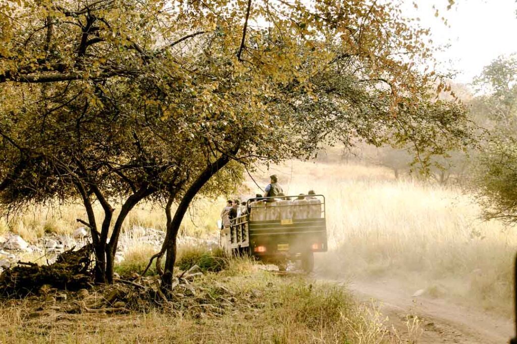Indien Ranthambore Nationalpark Jeepsafari