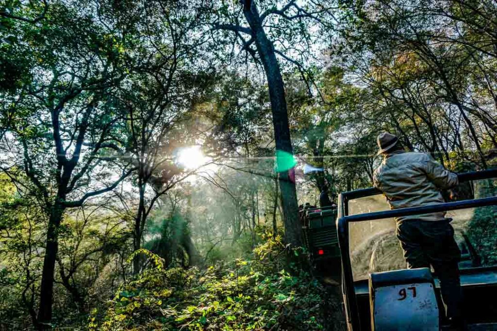 Indien Ranthambore Nationalpark Safari