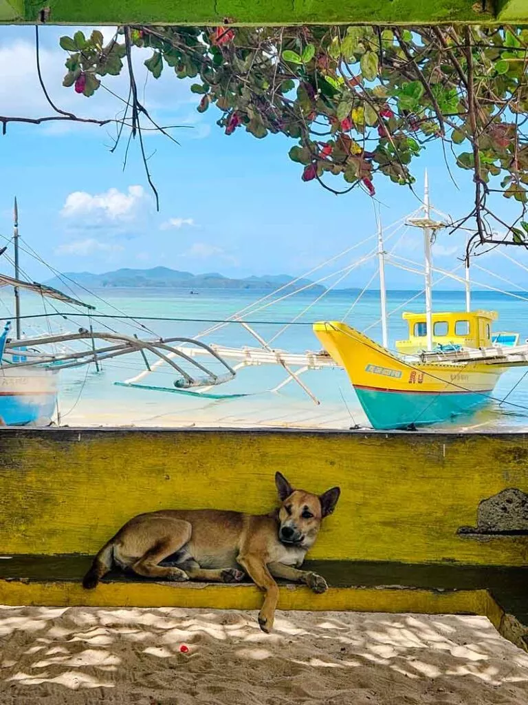 philippinen bootstour dorf