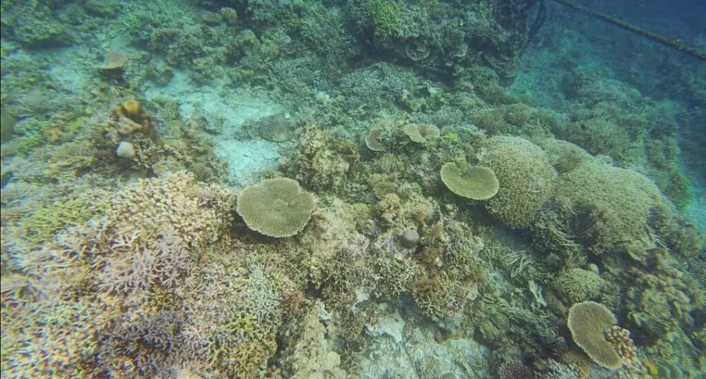 philippinen bootstour riff