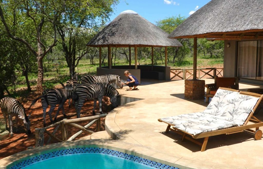 Südafrika_Kruger Nationalpark_Marloth Park_Terasse der Unterkunft