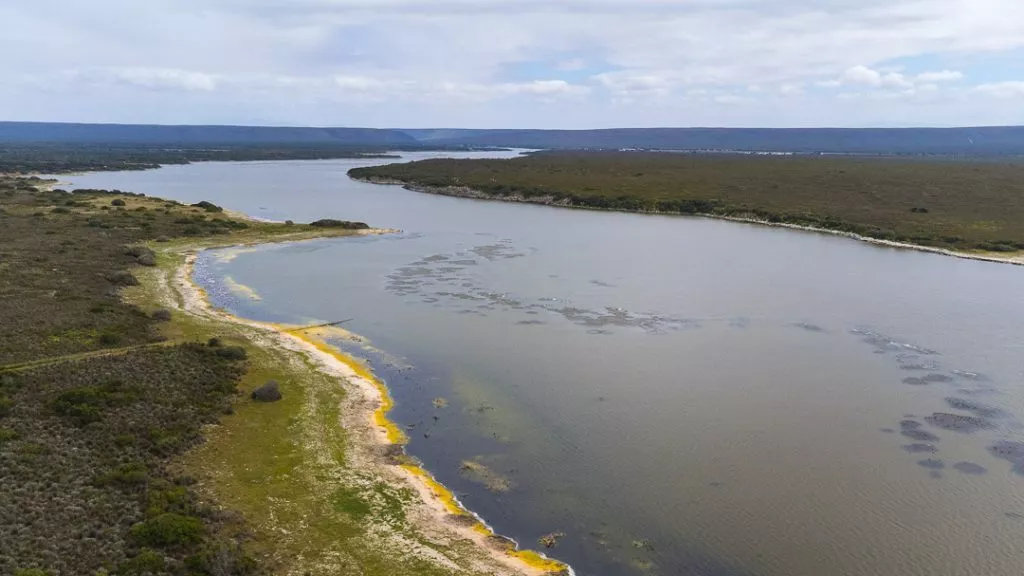 Suedafrika De Hoop Nature Reserve De Hoop Vlei