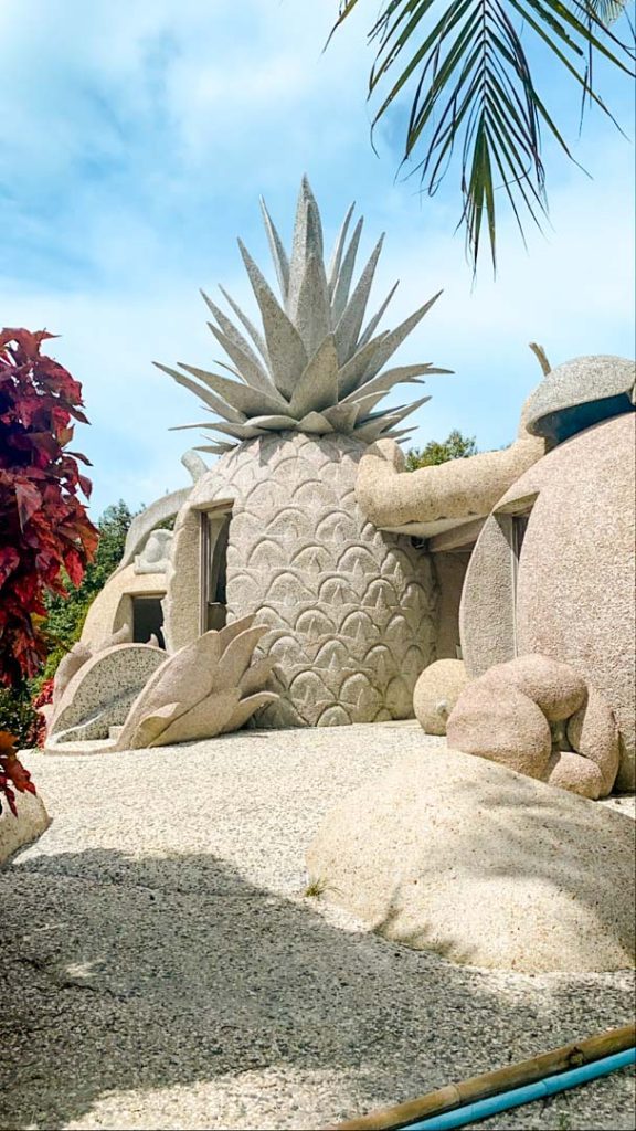 ananas magic stone fruits haeuser auf koh samui thailand