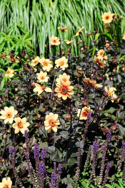 melbourne australien 2