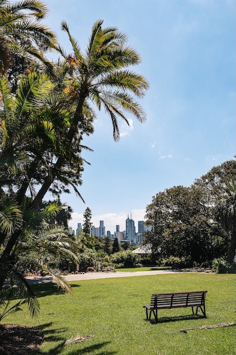 melbourne australien bank mit aussicht auf die skyline