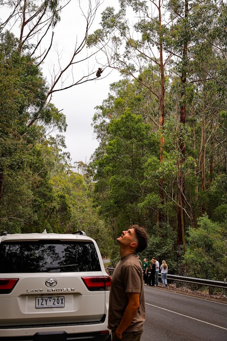 melbourne australien great ocean road