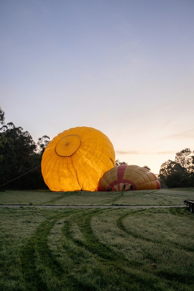 melbourne australien heissluftballon auf wiese im yarra valley