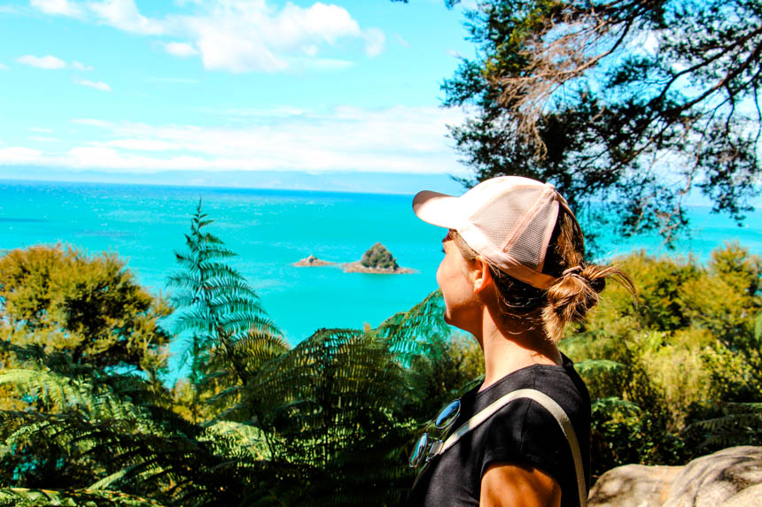 neuseeland abel tasman np aussicht auf das meer