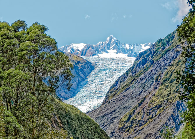 neuseeland fox glacier