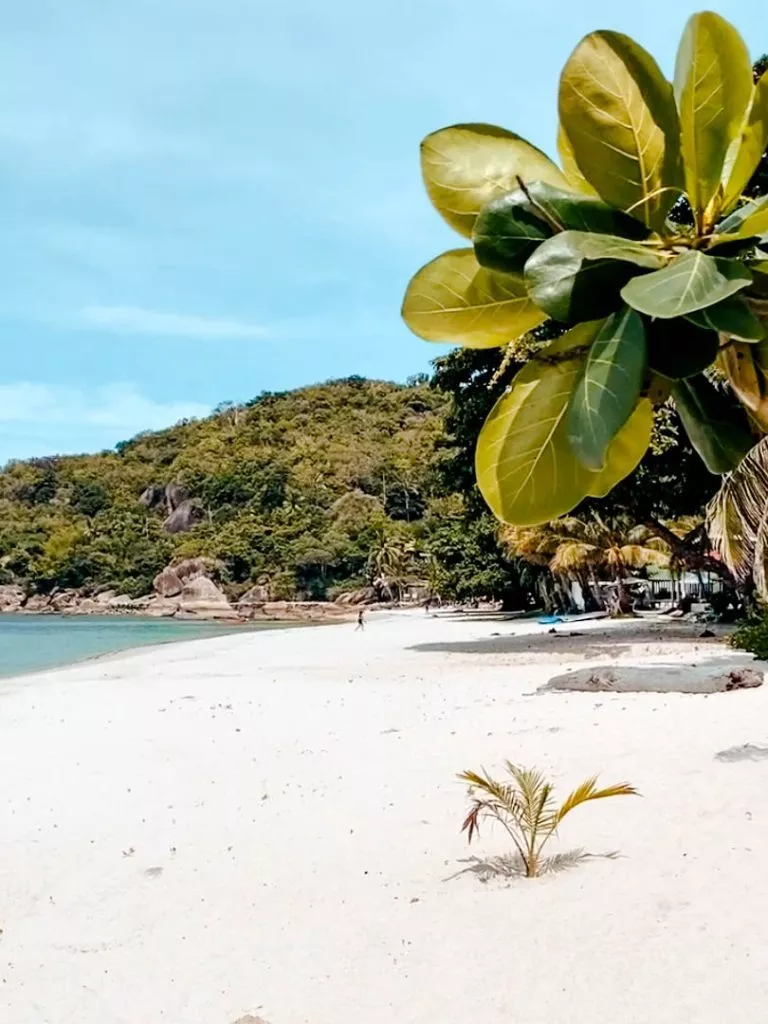 Silver Beach auf Koh Samui in Thailand