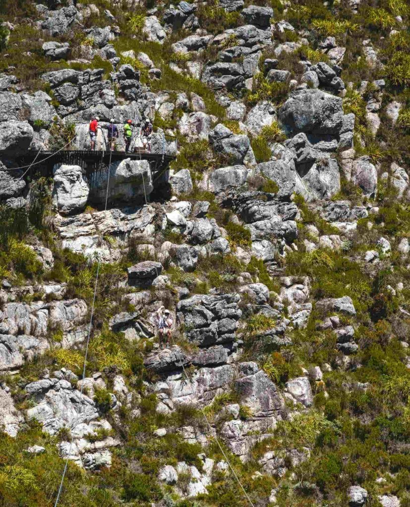 Südafrika_Tsitsikamma_CanopyDSC06186