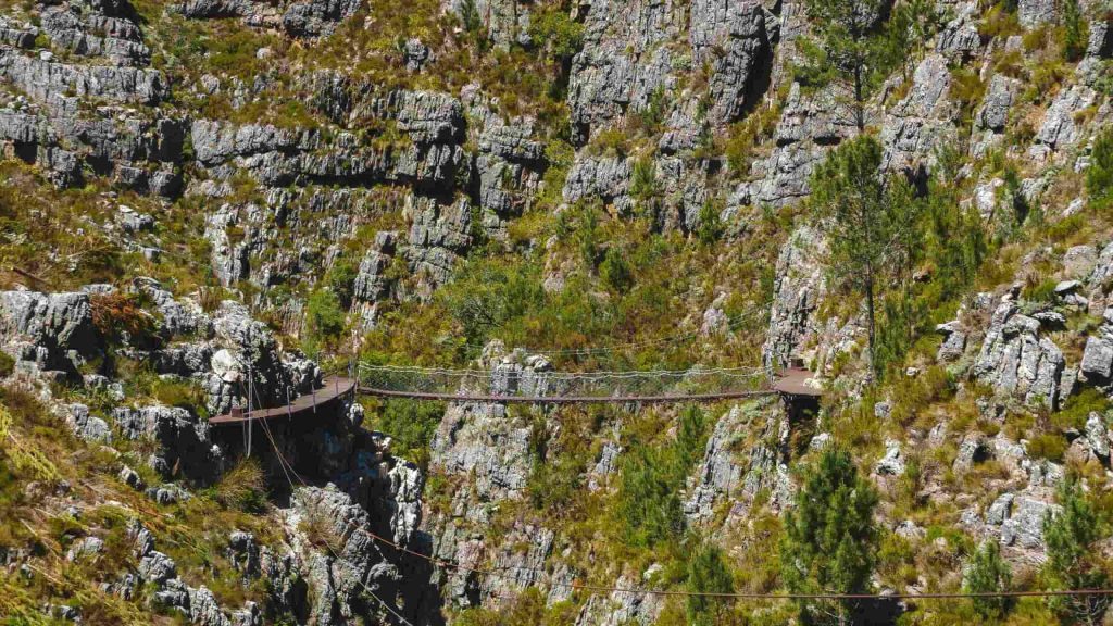 Südafrika_Tsitsikamma_CanopyDSC06190